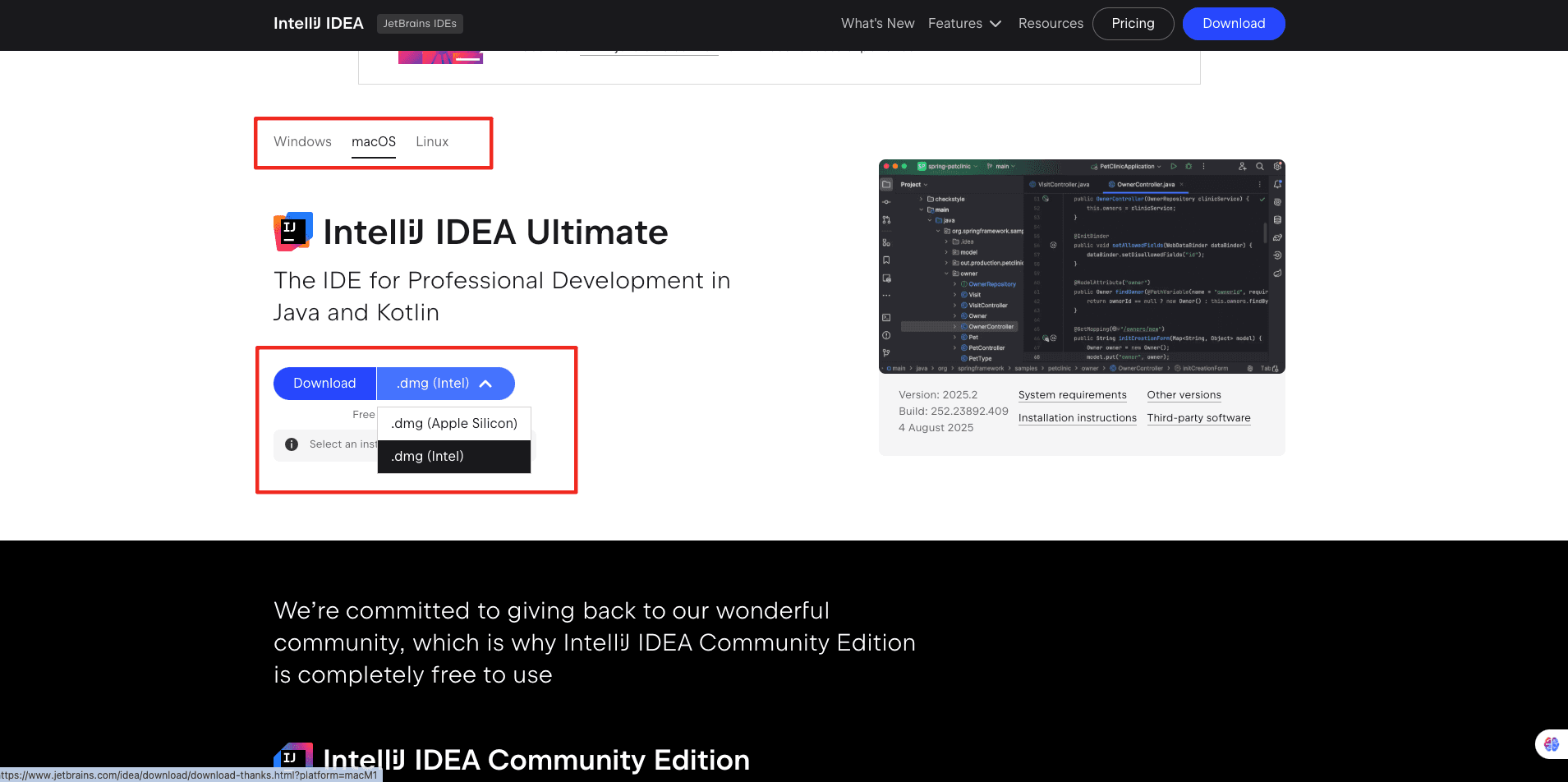 JetBrains 官网 IntelliJ IDEA 下载页，可选择 Community 或 Ultimate