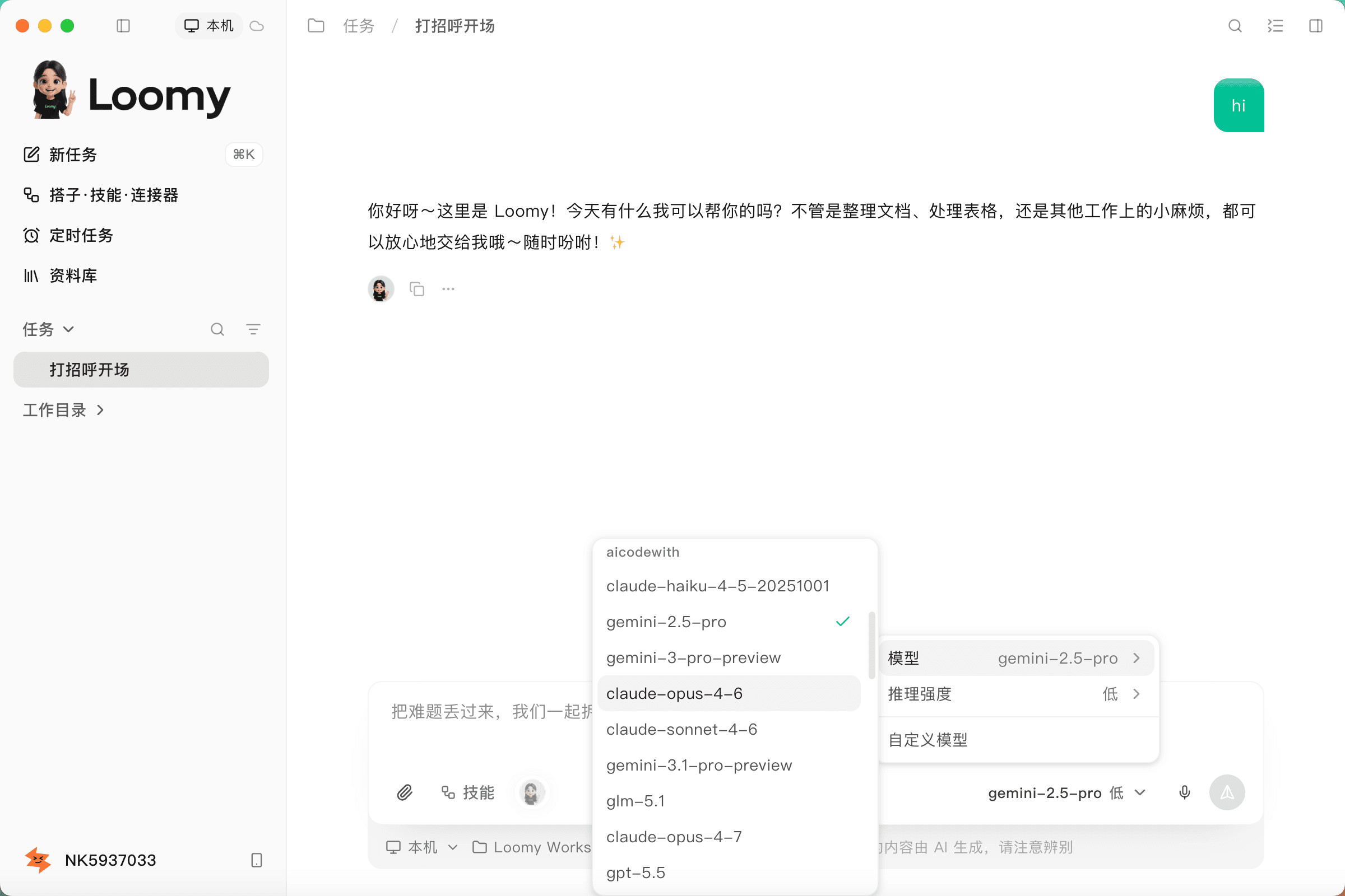 The Loomy chat window model picker showing custom models under aicodewith
