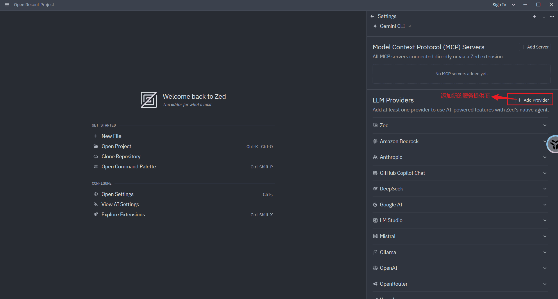Settings showing the LLM Providers list, with the + Add Provider button highlighted