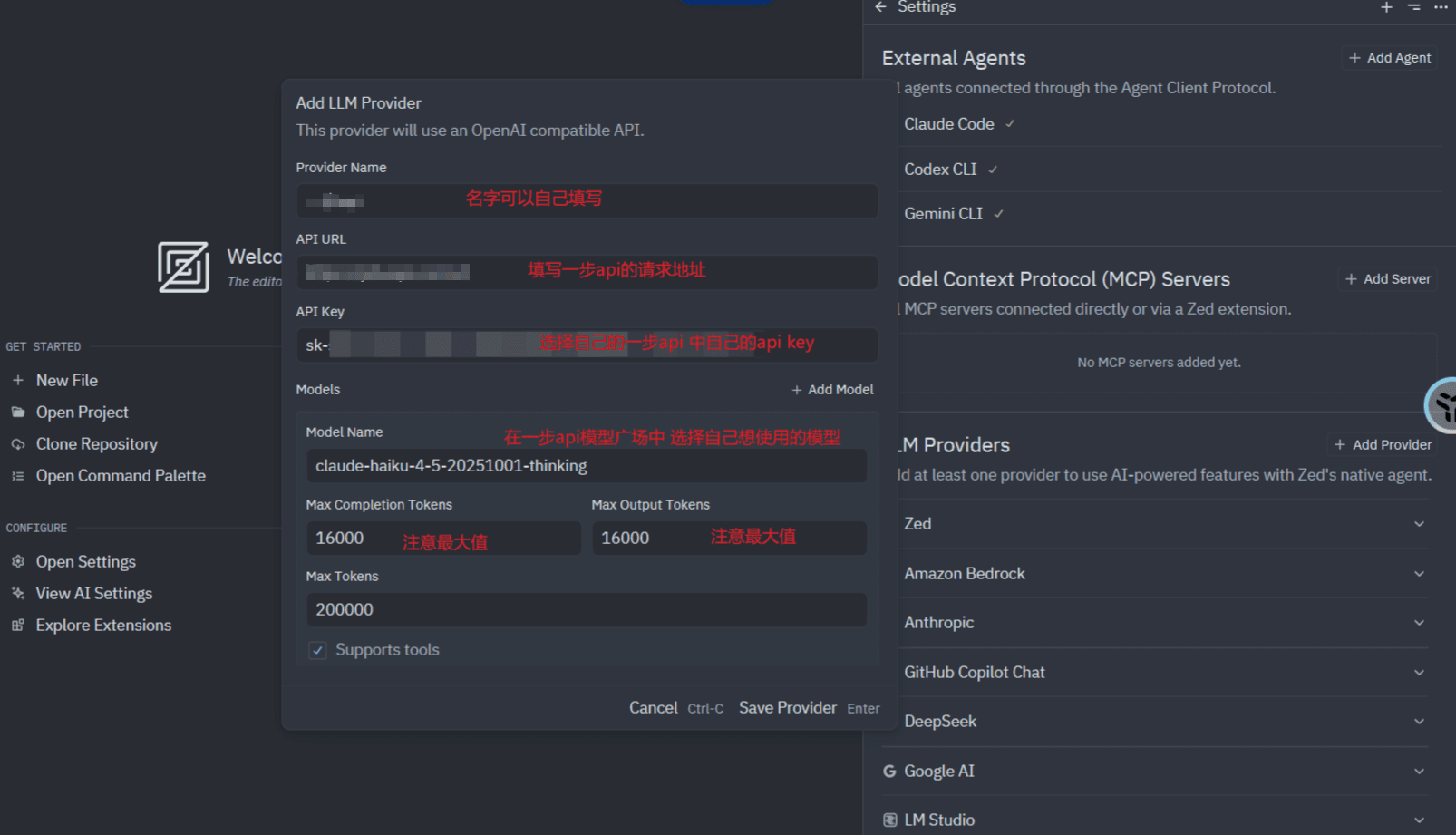 Add LLM Provider dialog with Provider Name, API URL, API Key, Model Name, Max Completion Tokens, Max Output Tokens, Max Tokens, and Supports tools, plus on-image field notes